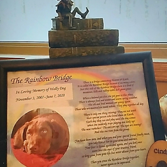 DANECRAFT Vintage SILVER BOW BROOCH  BOHO EUC - Picture 16 of 16